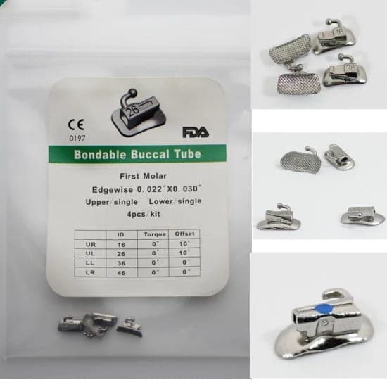 Buccal Tube